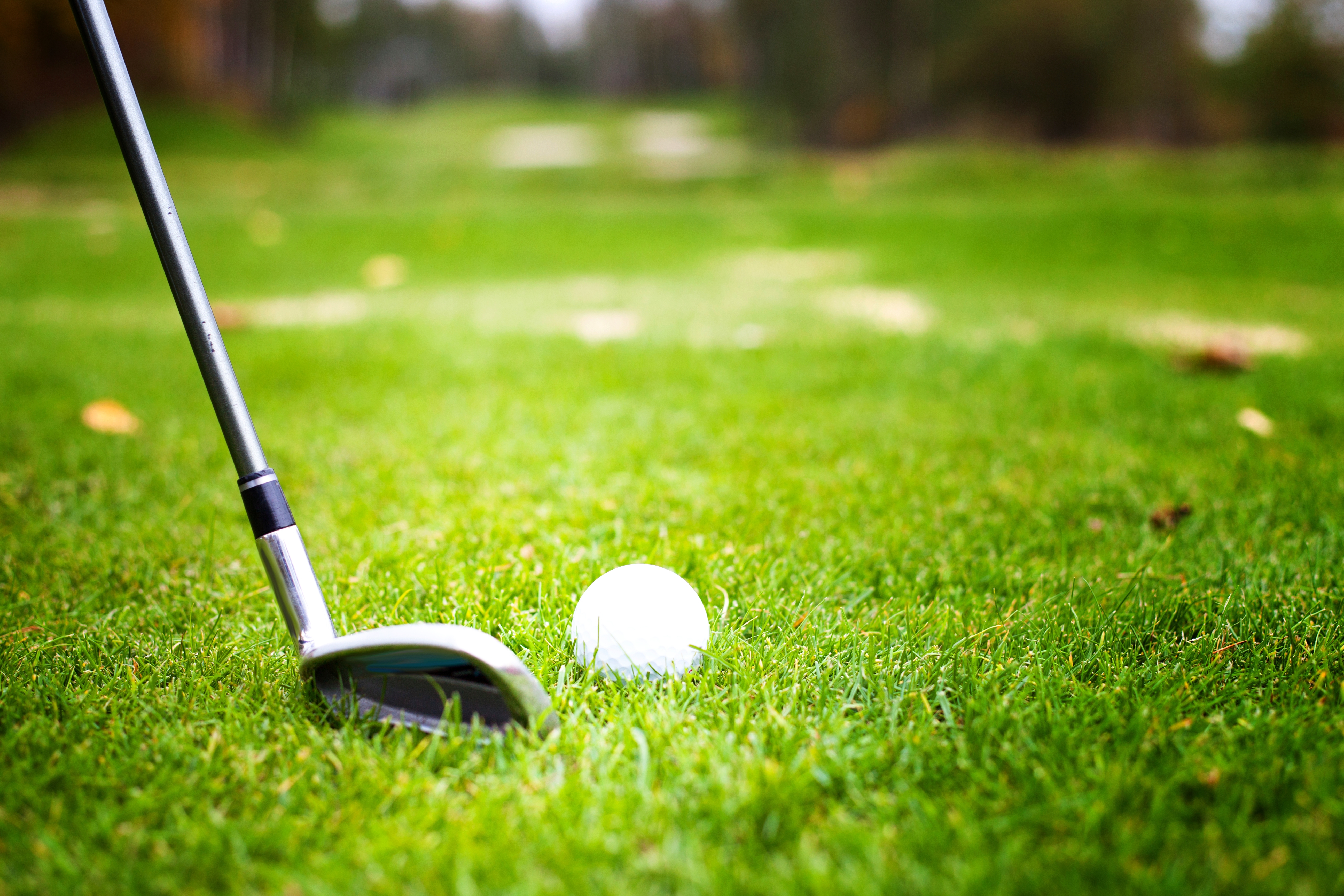 Playing Golf image